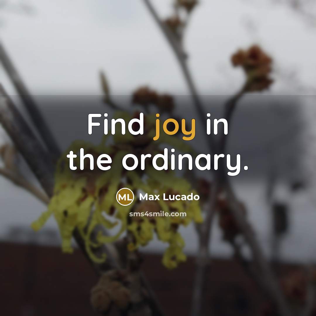 “Find joy in the ordinary.…” quote by Max Lucado