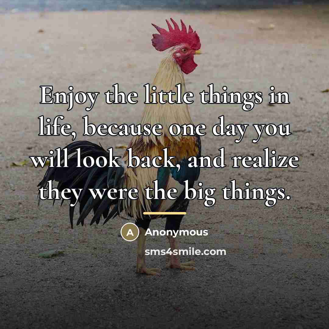 “Enjoy the little things in life, because one day you…” quote by Anonymous