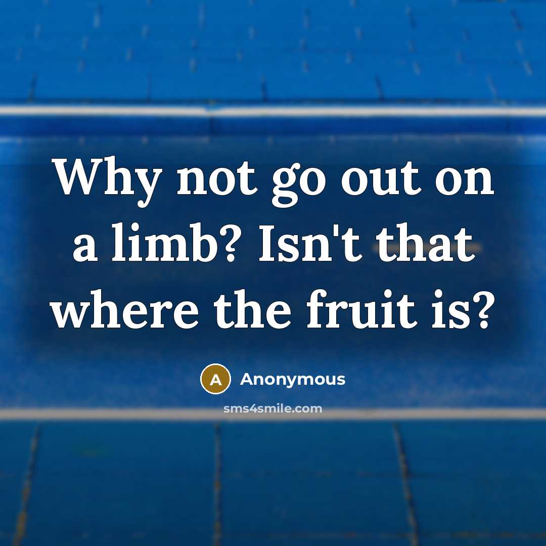 “Why not go out on a limb? Isn't that where the fruit is?” quote by Anonymous