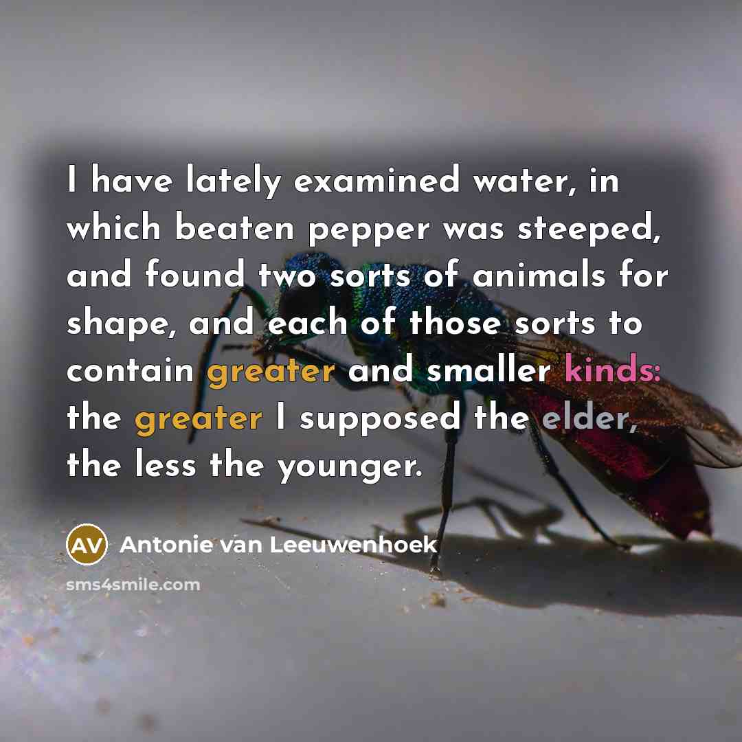 “I have lately examined water, in which beaten pepper was…” quote by Antonie van Leeuwenhoek