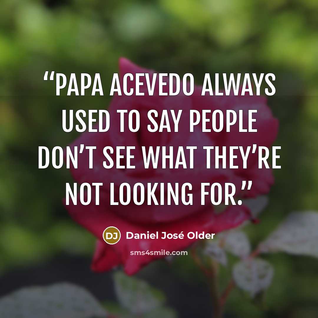 “Papa Acevedo always used to say people don’t see what they’re not looking for.” quote by Daniel José Older