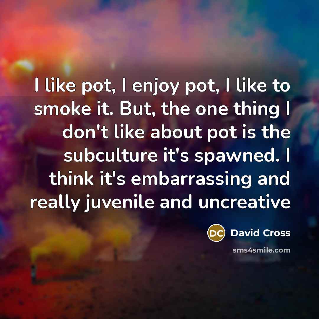 “I like pot, I enjoy pot, I like to smoke…” quote by David Cross