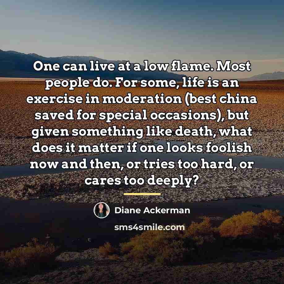 “One can live at a low flame. Most people do.…” quote by Diane Ackerman
