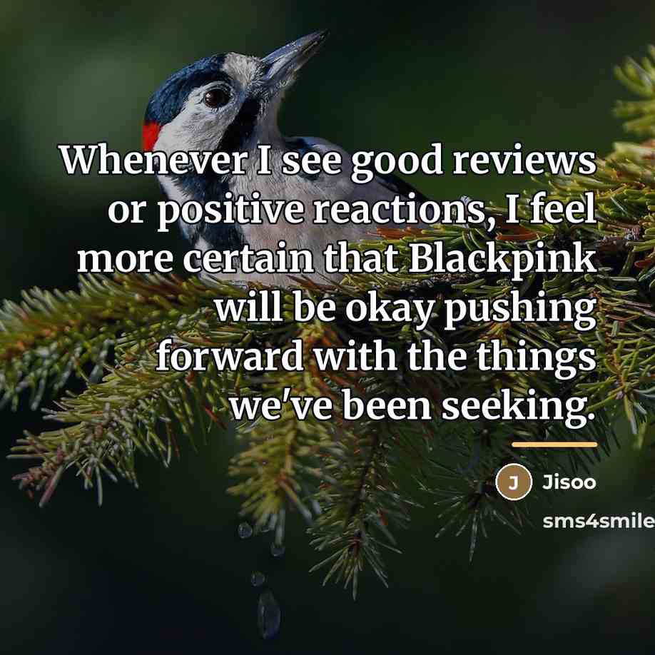 “Whenever I see good reviews or positive reactions, I feel…” quote by Jisoo