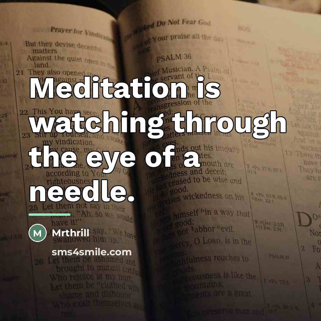“Meditation is watching through the eye of a needle.…” quote by Mrthrill