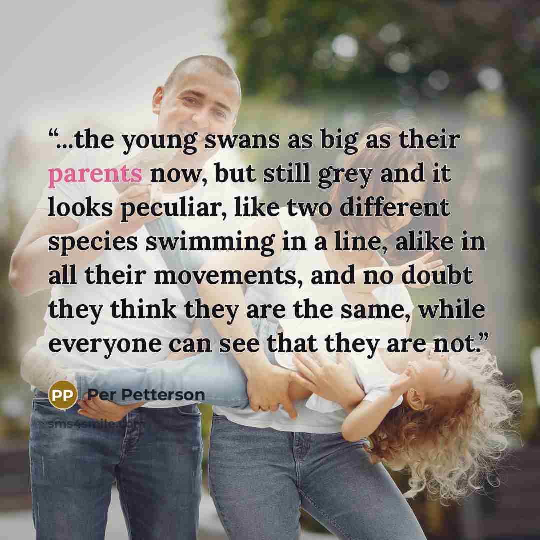 “...the young swans as big as their parents now, but still grey and it looks peculiar, like two different species swimming in a line, alike in all their movements, and no doubt they think they are the same, while everyone can see that they are not.” quote by Per Petterson