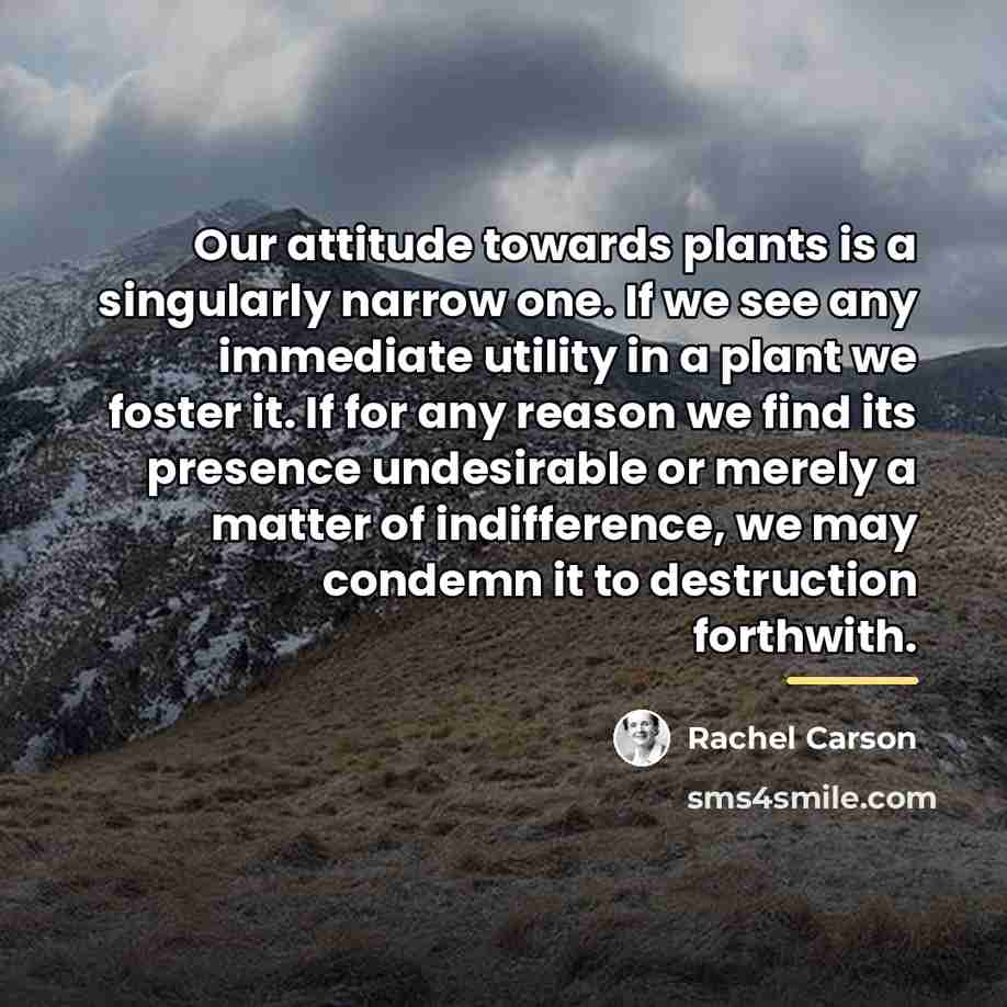 “Our attitude towards plants is a singularly narrow one. If…” quote by Rachel Carson