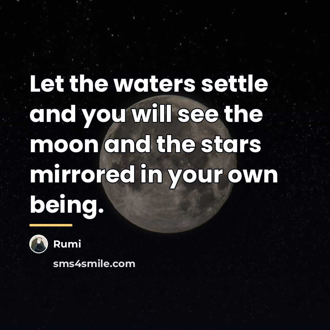 “Let the waters settle and you will see the moon…” quote by Rumi