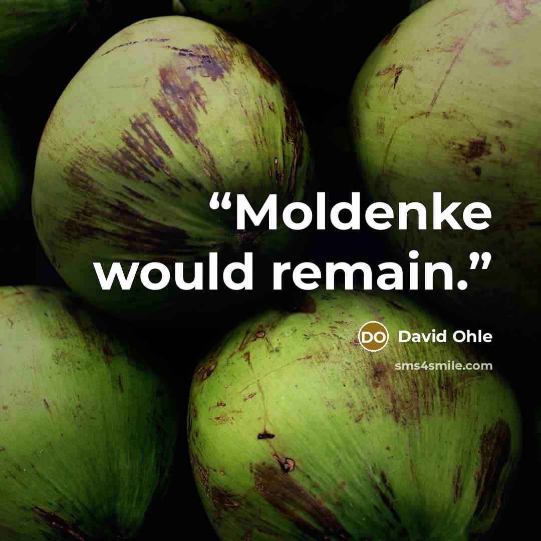 “Moldenke would remain.” quote by David Ohle