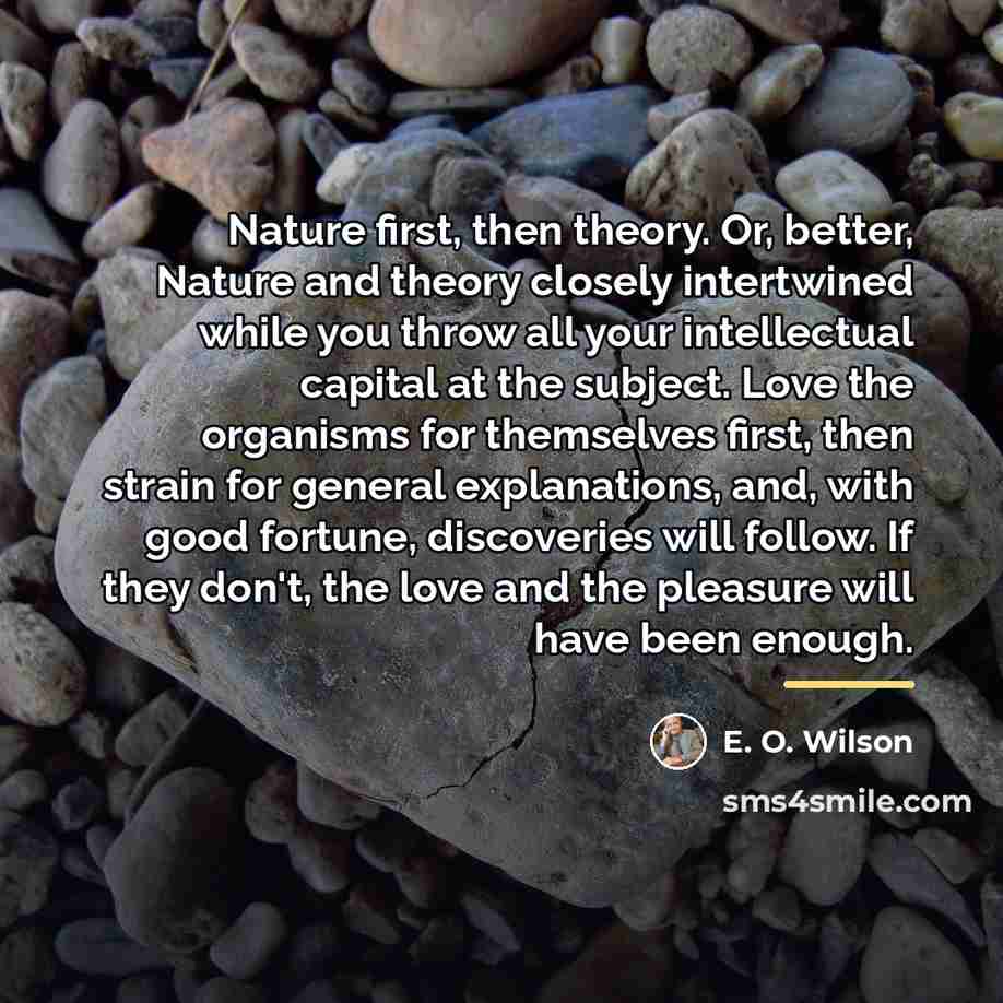 “Nature first, then theory. Or, better, Nature and theory closely…” quote by E. O. Wilson
