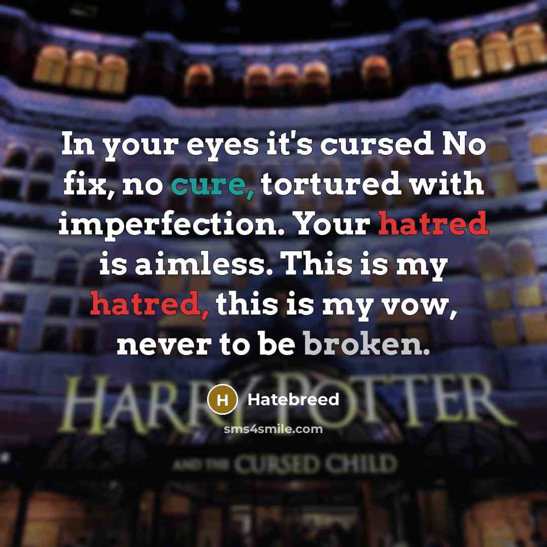 “In your eyes it's cursed No fix, no cure, tortured with imperfection. Your hatred is aimless. This is my hatred, this is my vow, never to be broken.” quote by Hatebreed