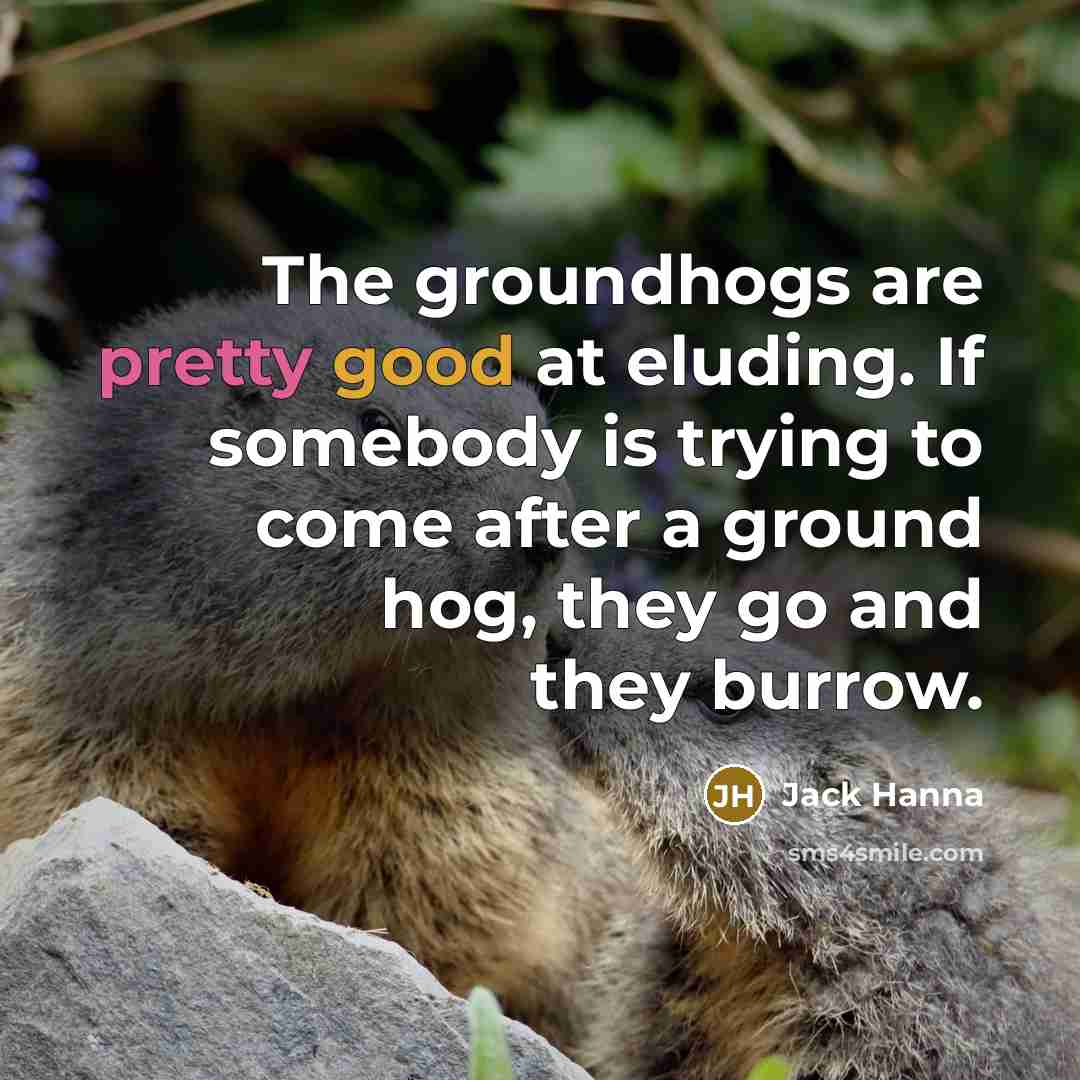 “The groundhogs are pretty good at eluding. If somebody is…” quote by Jack Hanna
