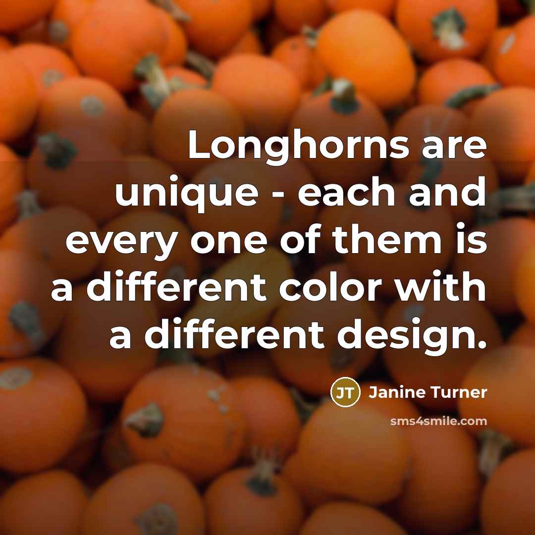 “Longhorns are unique - each and every one of them…” quote by Janine Turner