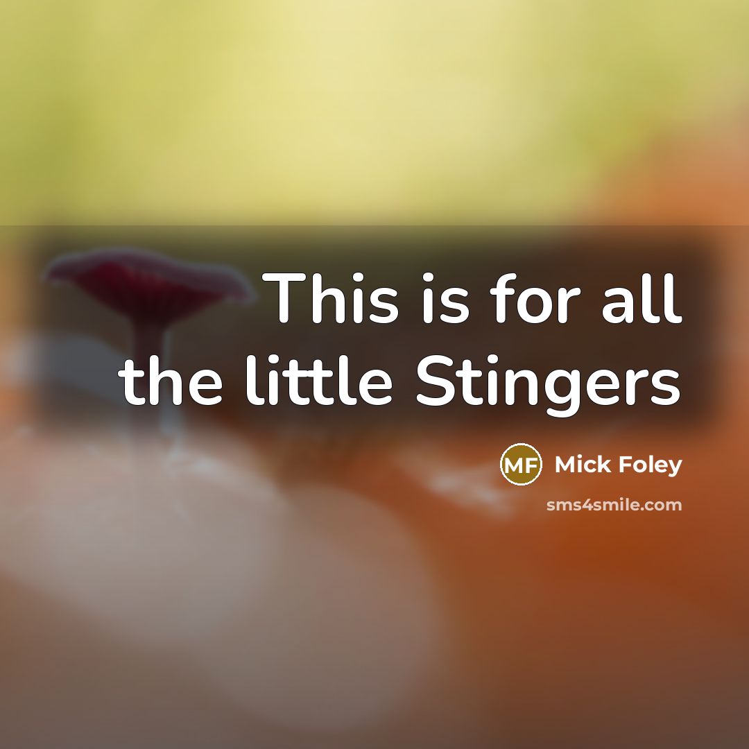 “This is for all the little Stingers…” quote by Mick Foley