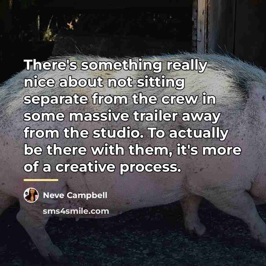 “There's something really nice about not sitting separate from the…” quote by Neve Campbell