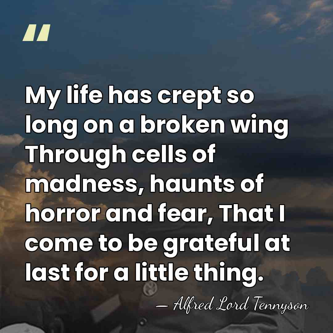 My life has crept so long on a broken wing Through cells&hellip; - Alfred Lord Tennyson