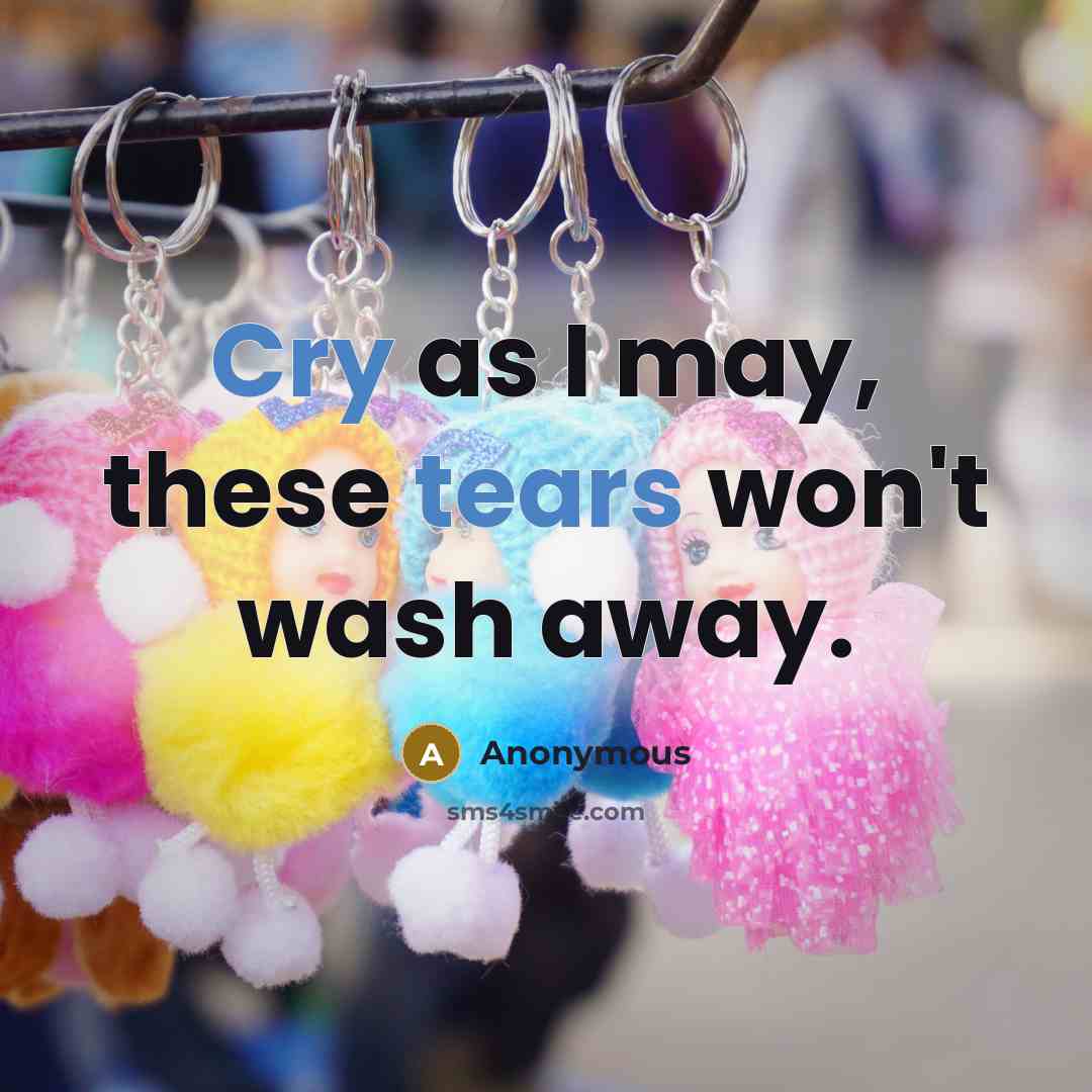 “Cry as I may, these tears won't wash away.” quote by Anonymous