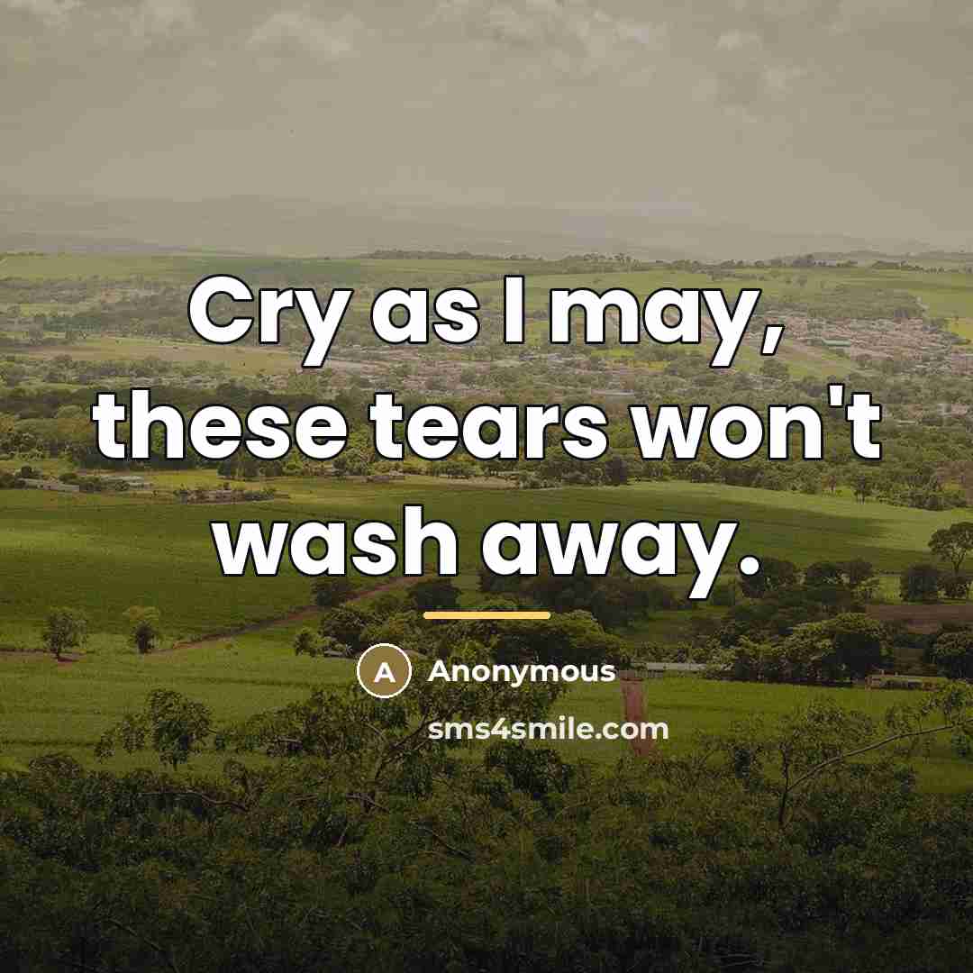 “Cry as I may, these tears won't wash away.…” quote by Anonymous