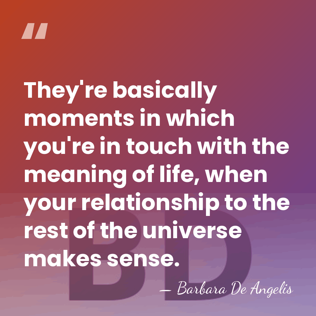 They're basically moments in which you're in touch with the meaning of&hellip; - Barbara De Angelis