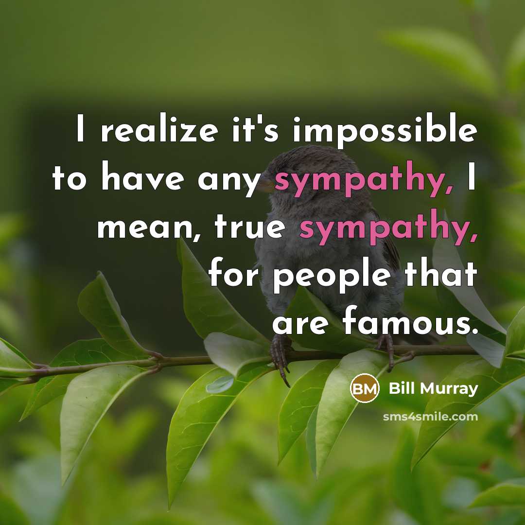 “I realize it's impossible to have any sympathy, I mean, true sympathy, for people that are famous.” quote by Bill Murray