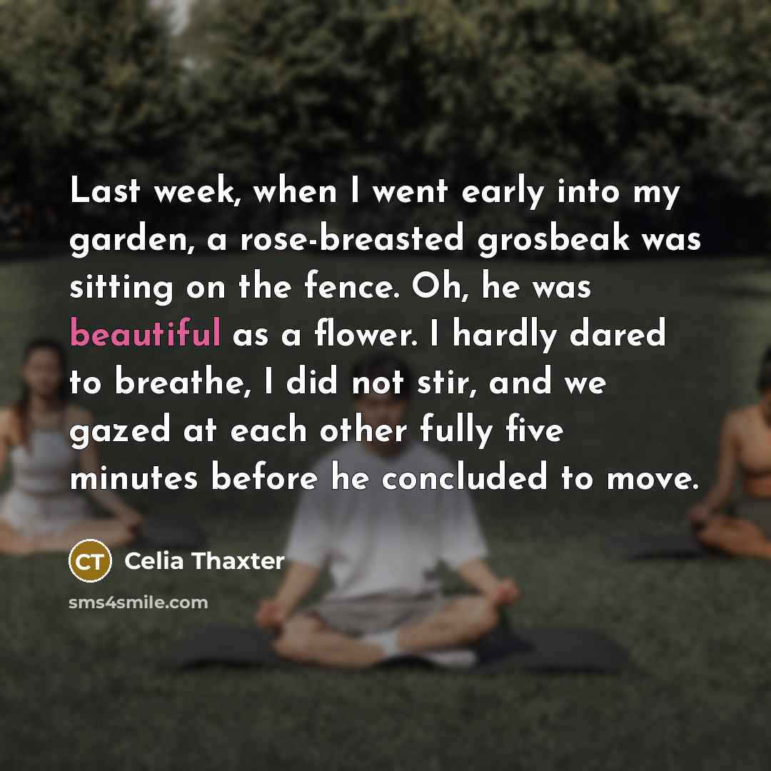 “Last week, when I went early into my garden, a…” quote by Celia Thaxter