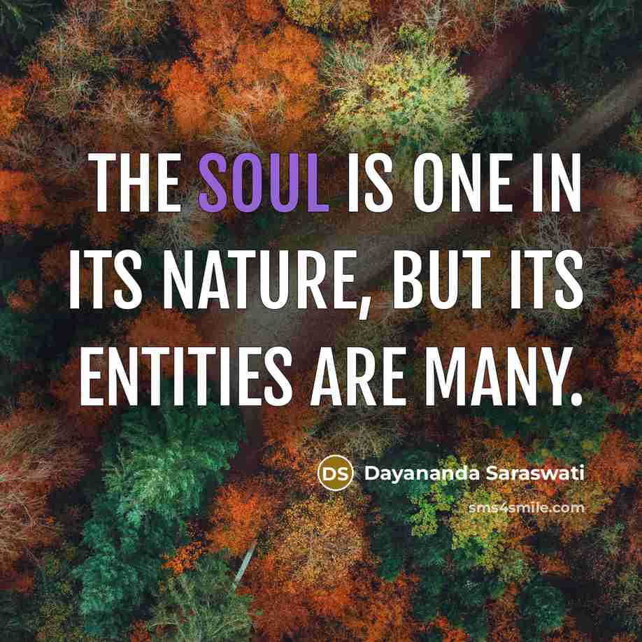 “The soul is one in its nature, but its entities…” quote by Dayananda Saraswati