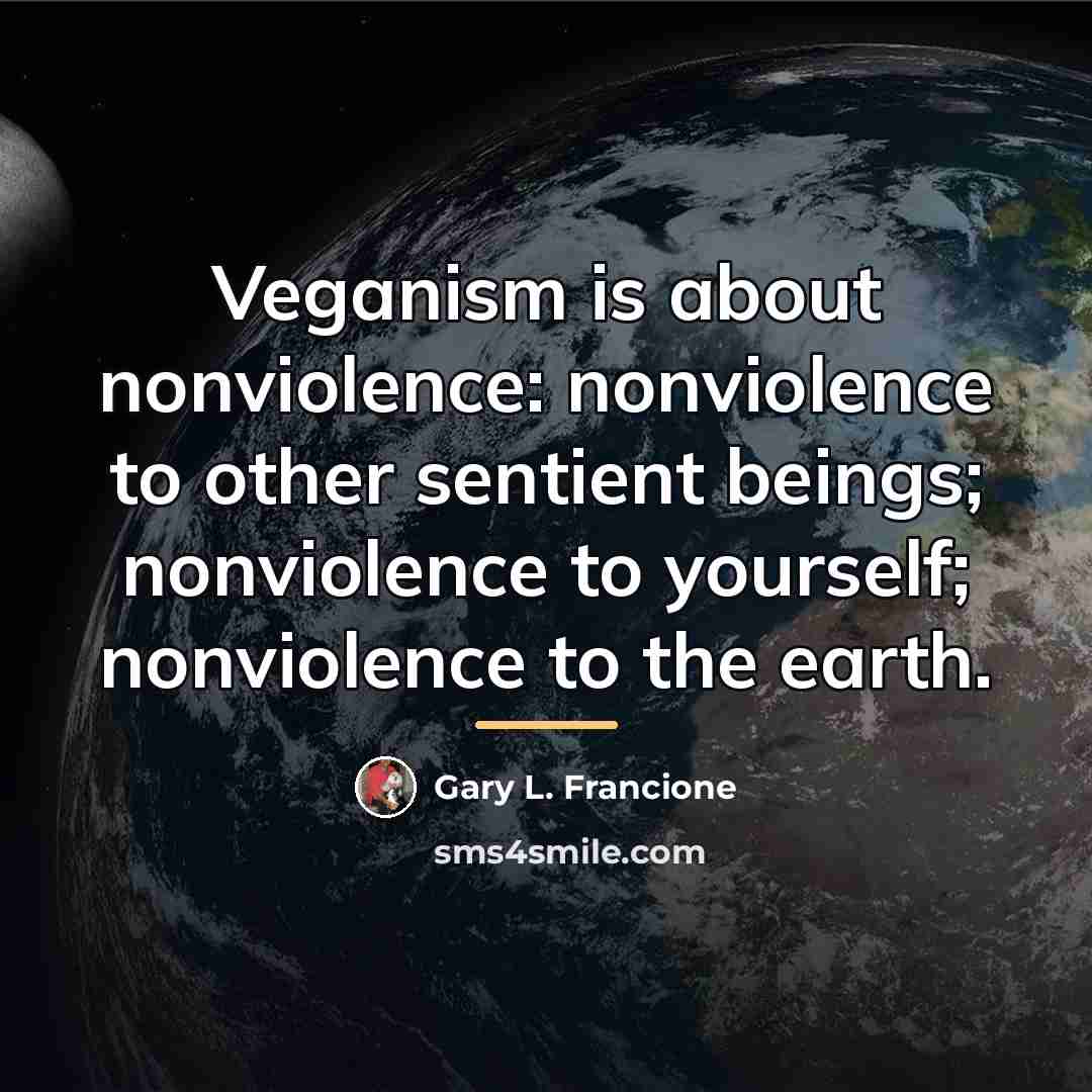 “Veganism is about nonviolence: nonviolence to other sentient beings; nonviolence…” quote by Gary L. Francione