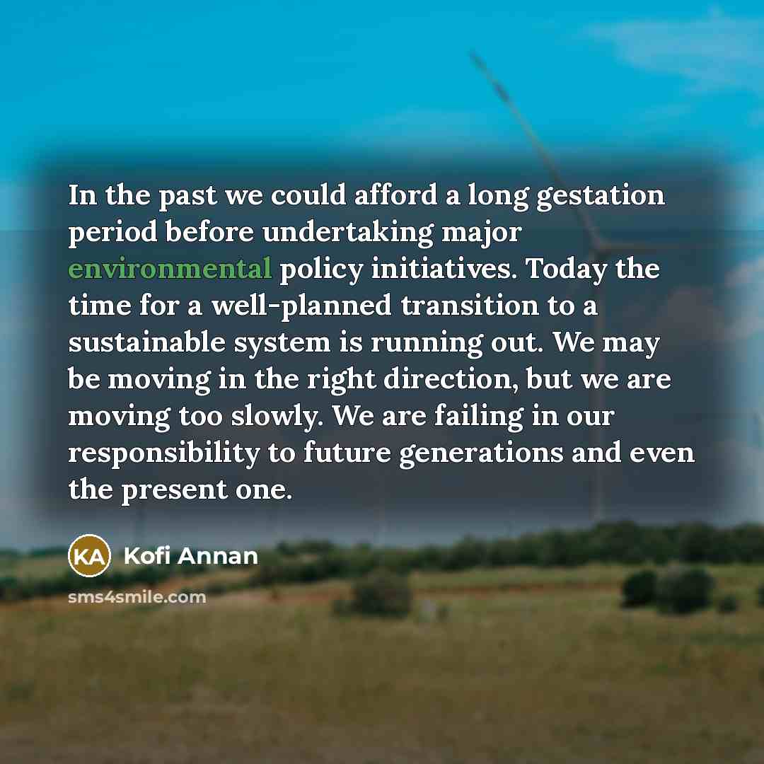 “In the past we could afford a long gestation period…” quote by Kofi Annan