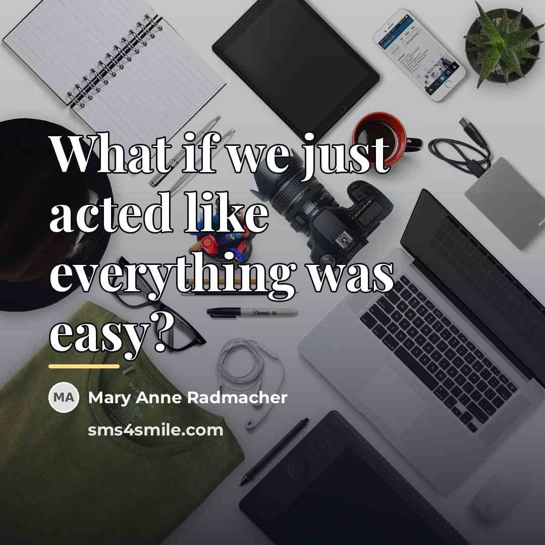 “What if we just acted like everything was easy?…” quote by Mary Anne Radmacher