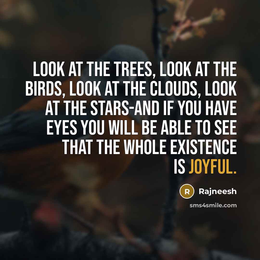 “Look at the trees, look at the birds, look at…” quote by Rajneesh