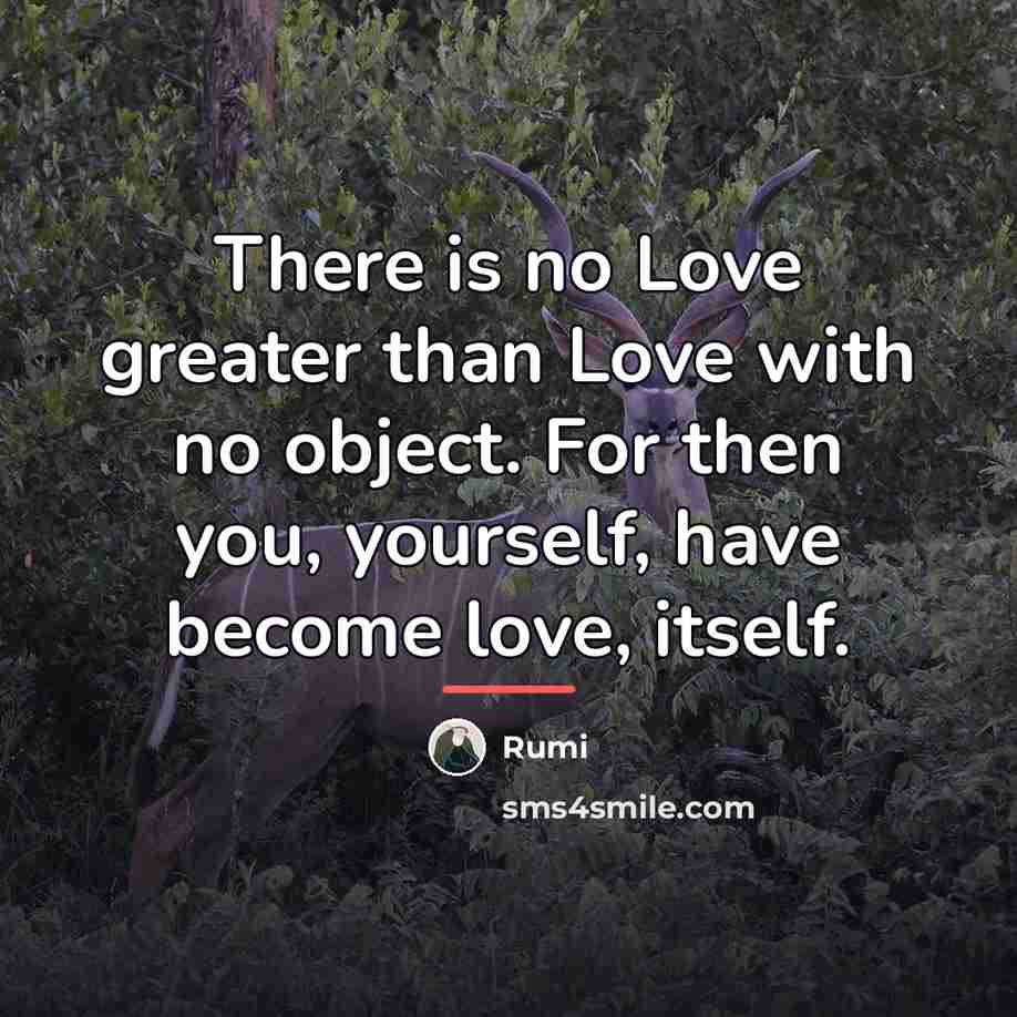 “There is no Love greater than Love with no object.…” quote by Rumi