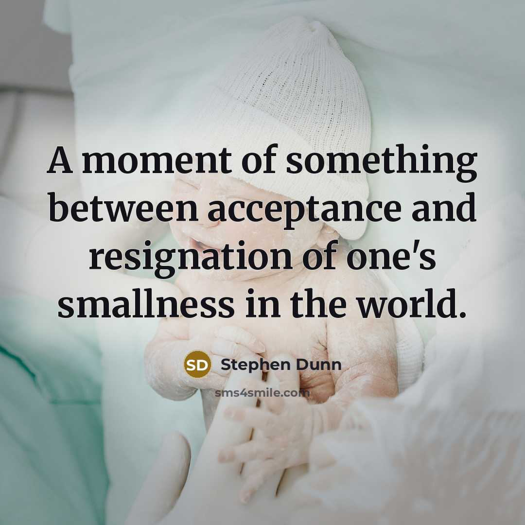 “A moment of something between acceptance and resignation of one's…” quote by Stephen Dunn