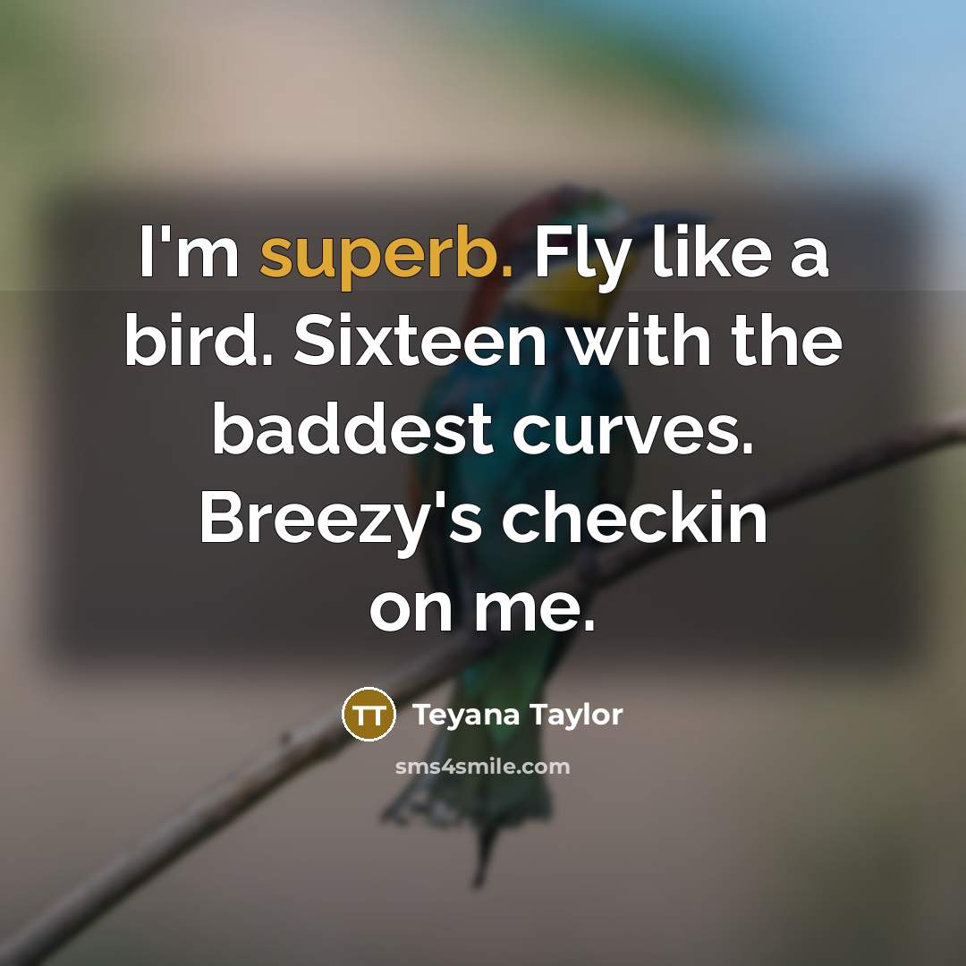 “I'm superb. Fly like a bird. Sixteen with the baddest curves. Breezy's checkin on me.” quote by Teyana Taylor