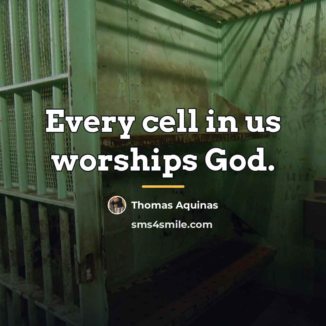 “Every cell in us worships God.…” quote by Thomas Aquinas