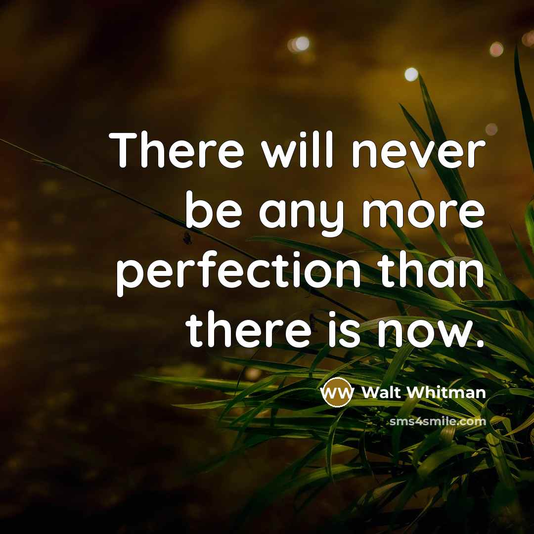 “There will never be any more perfection than there is…” quote by Walt Whitman