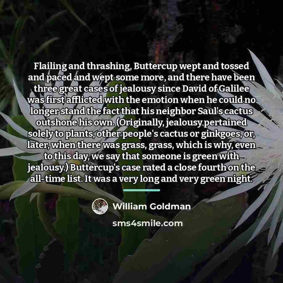 “Flailing and thrashing, Buttercup wept and tossed and paced and…” quote by William Goldman