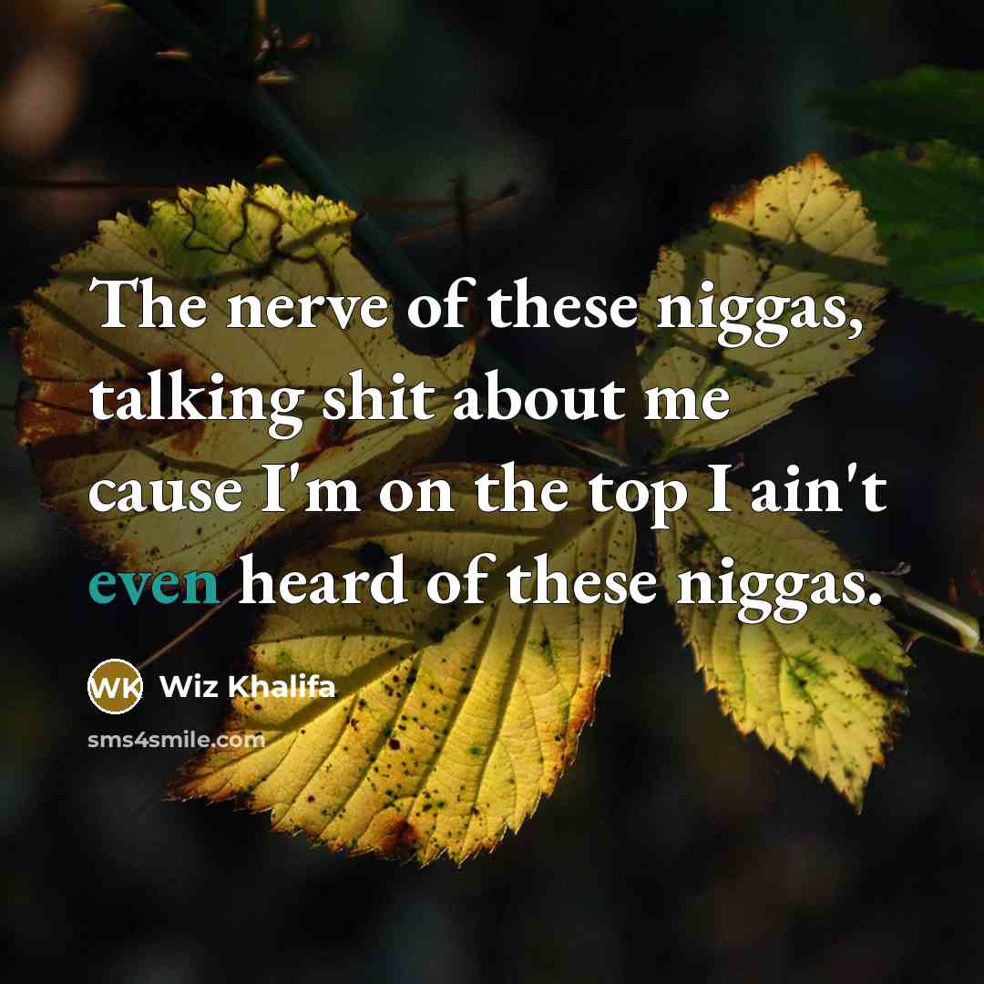 “The nerve of these niggas, talking shit about me cause…” quote by Wiz Khalifa