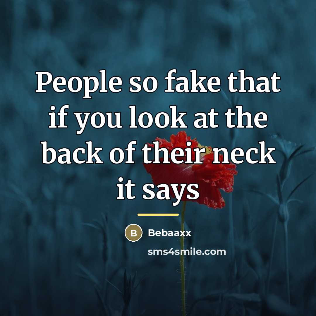 “People so fake that if you look at the back…” quote by Bebaaxx