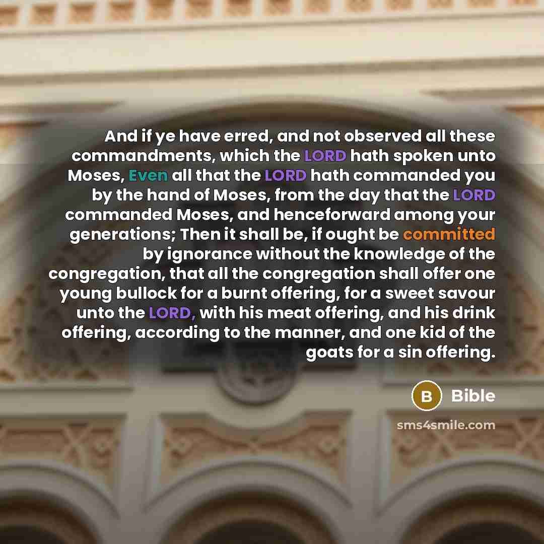“And if ye have erred, and not observed all these commandments, which the LORD hath spoken unto Moses, Even all that the LORD hath commanded you by the hand of Moses, from the day that the LORD commanded Moses, and henceforward among your generations; Then it shall be, if ought be committed by…” quote by Bible