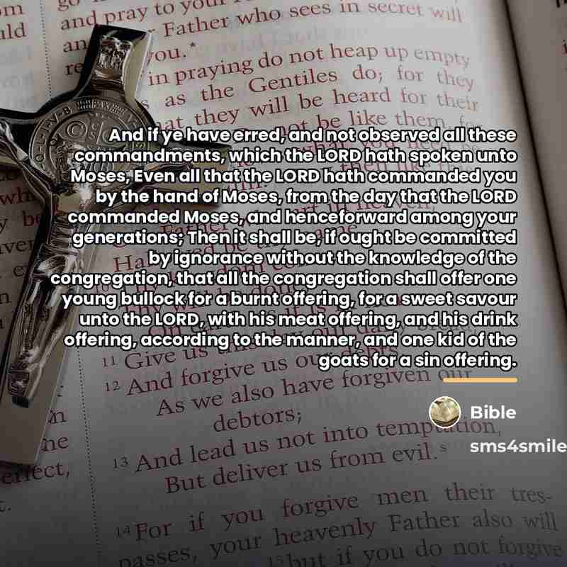 “And if ye have erred, and not observed all these…” quote by Bible
