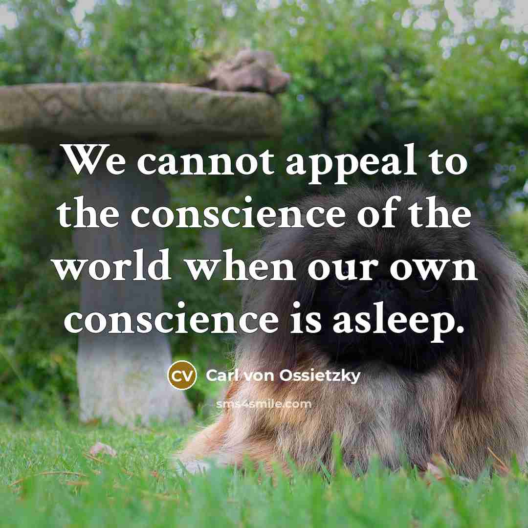 “We cannot appeal to the conscience of the world when our own conscience is asleep.” quote by Carl Von Ossietzky