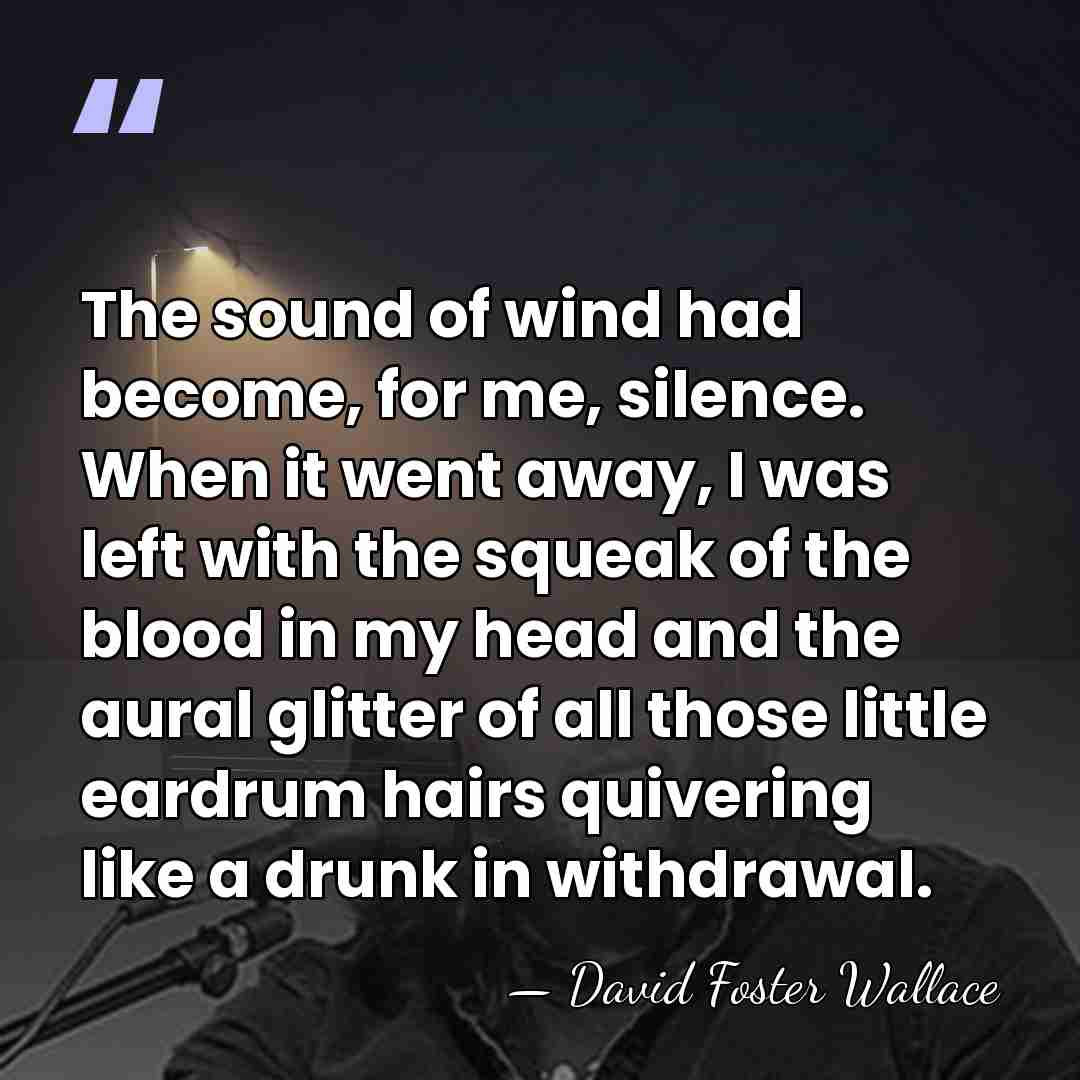 The sound of wind had become, for me, silence. When it went&hellip; - David Foster Wallace