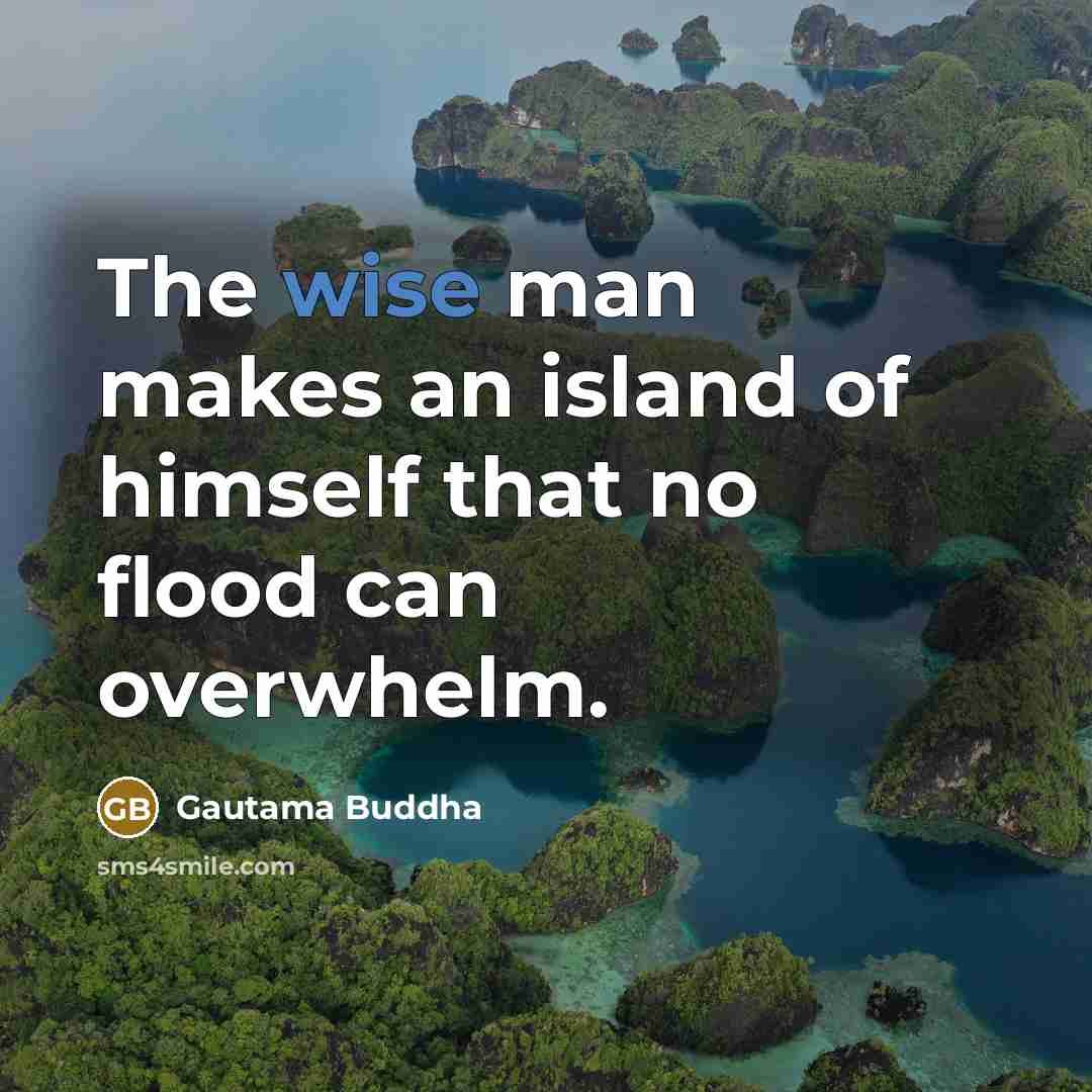 “The wise man makes an island of himself that no…” quote by Gautama Buddha