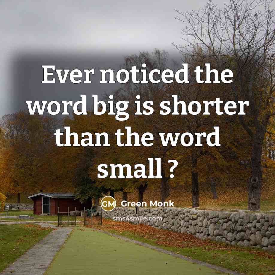 “Ever noticed the word big is shorter than the word…” quote by Green Monk