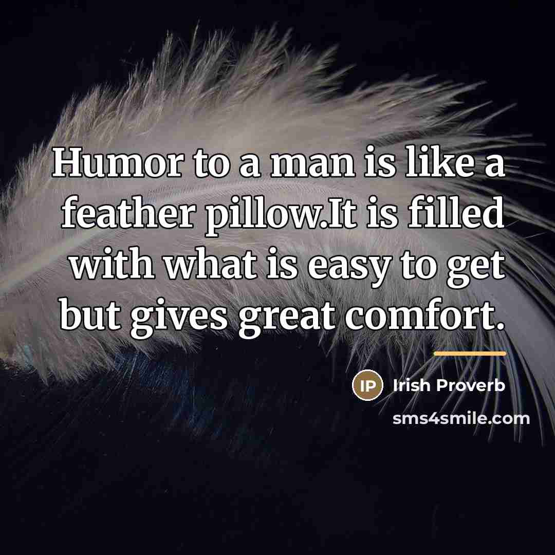 “Humor to a man is like a feather pillow.It is…” quote by Irish Proverb
