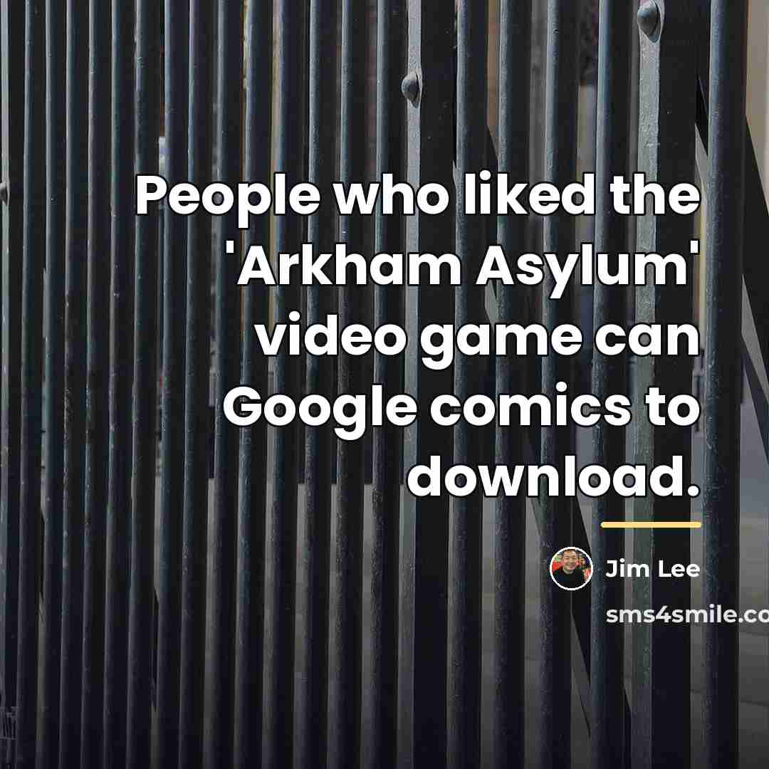 “People who liked the 'Arkham Asylum' video game can Google…” quote by Jim Lee