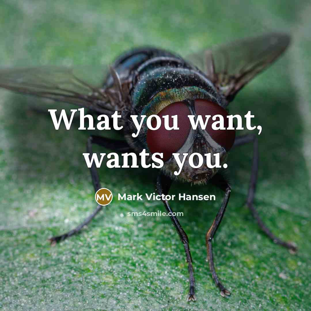 “What you want, wants you.…” quote by Mark Victor Hansen