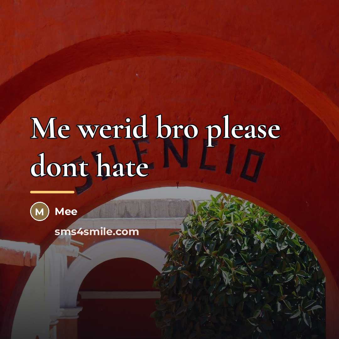 “Me werid bro please dont hate…” quote by Mee