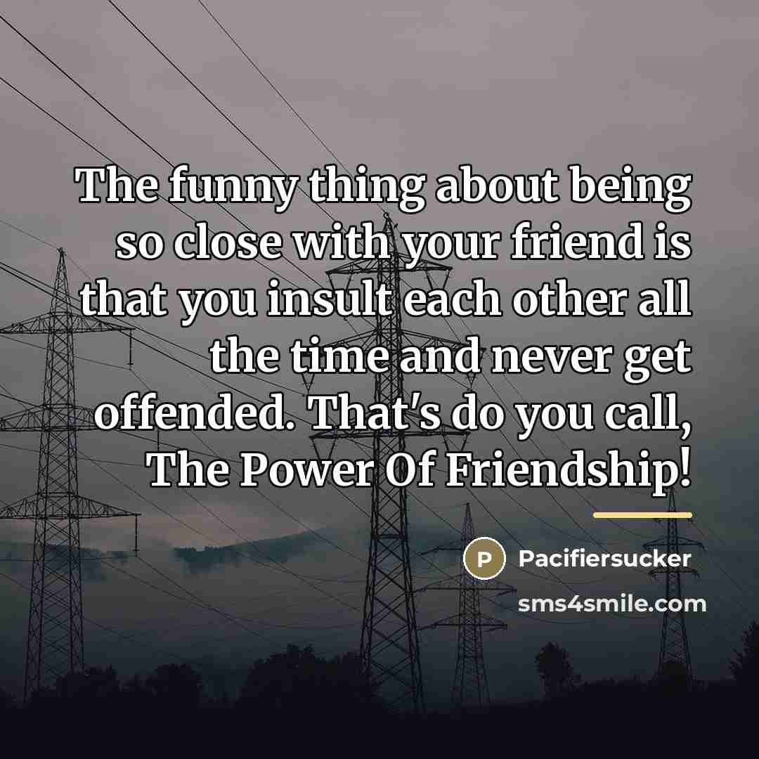 “The funny thing about being so close with your friend…” quote by Pacifiersucker
