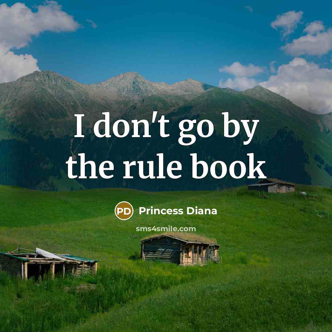 “I don't go by the rule book…” quote by Princess Diana